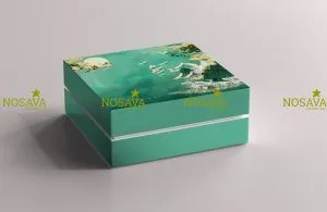 Sản phẩm 312063459_185382970673186_4985807900413994732_n 300x195 — Công Ty Cổ Phần Nosava — MST 0108649992