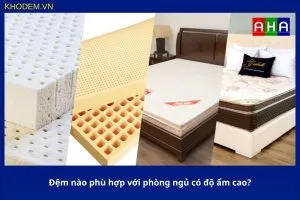 Sản phẩm dem nao phu hop voi phong ngu co do am cao 300x200 — Chăn Ga Gối Đệm A.H.A - Công Ty TNHH Sản Xuất Thương Mại A.H.A — MST 0108655308