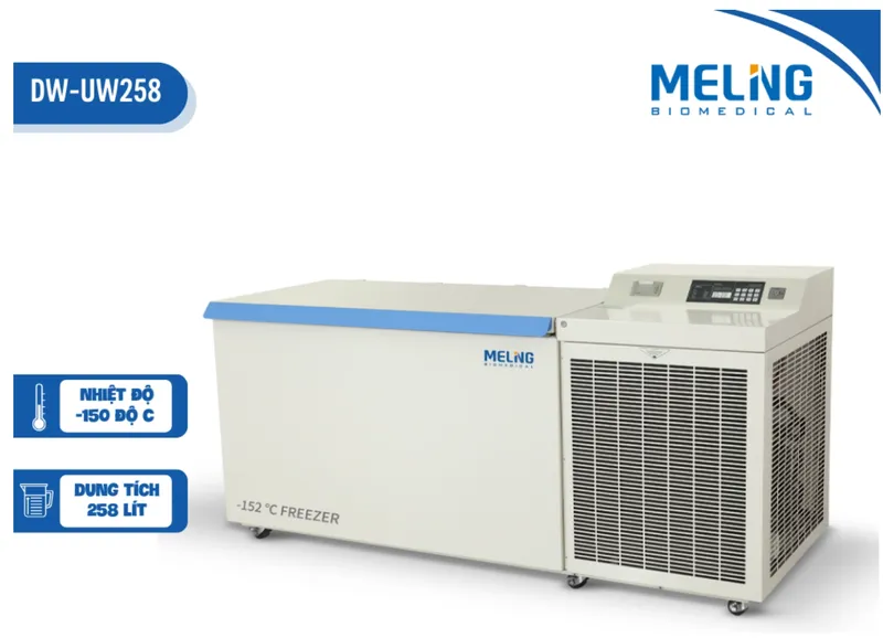 Sản phẩm tu lanh am 150 do c — Công Ty TNHH TP Quốc Tế — MST 0108663612