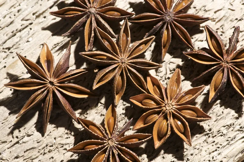 Sản phẩm Staraniseed — Công Ty Cổ Phần Xuất Nhập Khẩu Agrikim — MST 0108689755