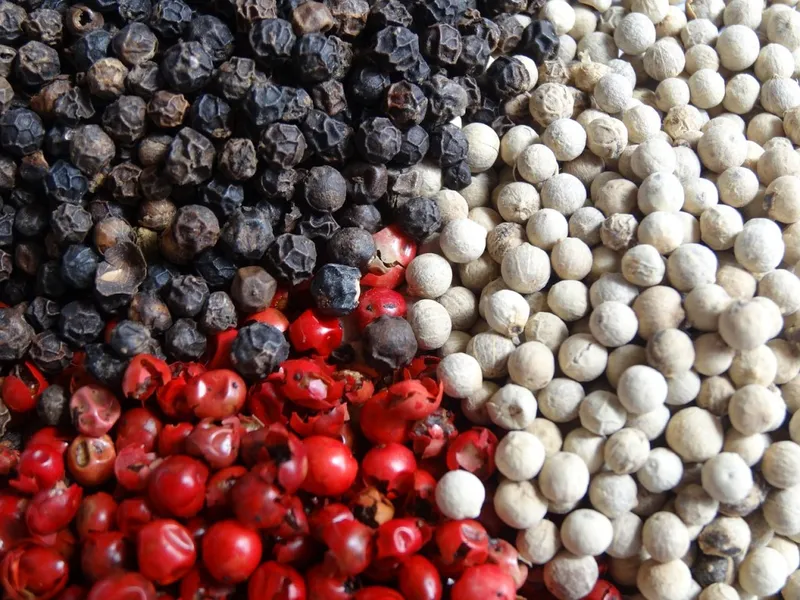 Sản phẩm Pepper — Công Ty Cổ Phần Xuất Nhập Khẩu Agrikim — MST 0108689755
