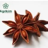 Sản phẩm HOI HU e1634150190935 160x160 — Công Ty Cổ Phần Xuất Nhập Khẩu Agrikim — MST 0108689755