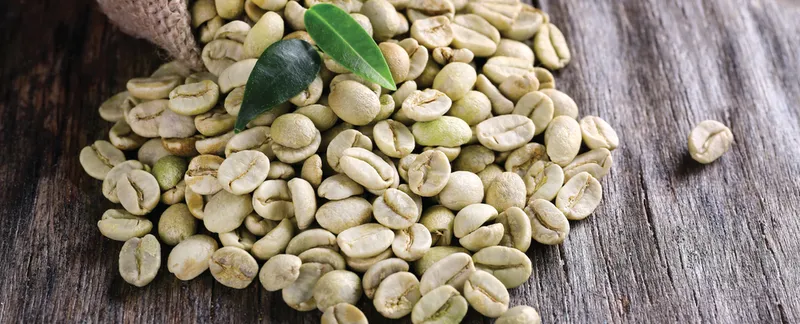 Sản phẩm 15 1 — Công Ty Cổ Phần Xuất Nhập Khẩu Agrikim — MST 0108689755
