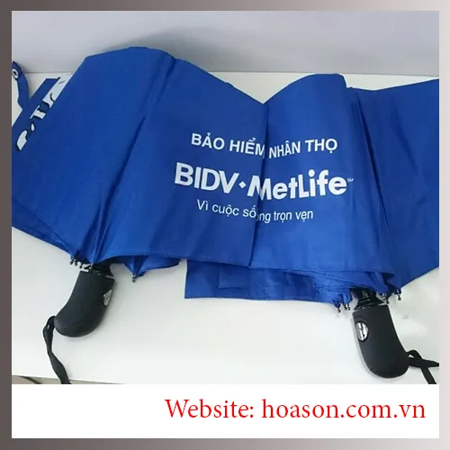 Sản phẩm O BIDV — Công Ty TNHH GTB Hòa Sơn — MST 0108706658