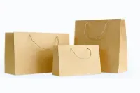 Sản phẩm 51 1610610864 — Công Ty Cổ Phần Thương Mại Dịch Vụ Và Sản Xuất Bao Bì Thành Nam — MST 0108717113