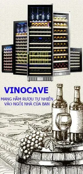 Sản phẩm tu bao quan ruou vang vinocave — Công Ty TNHH Đầu Tư Thương Mại A2Z — MST 0108733517