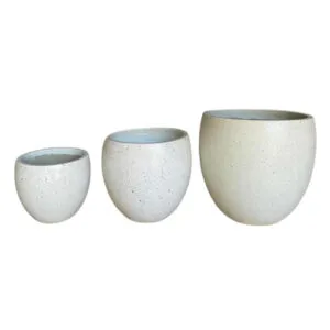 Sản phẩm CH 001 chau cay bang be tong mai dep gia re 1 300x300 — Công Ty TNHH Thương Mại Và Dịch Vụ HC Việt Nam — MST 0108738378