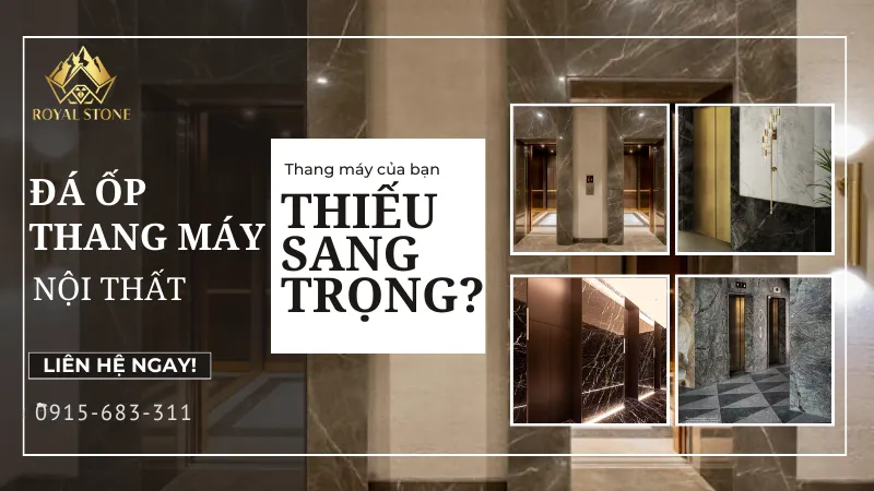 Sản phẩm 6 — Công Ty TNHH Dịch Vụ Và Thương Mại ROYAL STONE — MST 0108753601