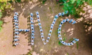 Sản phẩm hvc team building 2025 7 1754636302 — Công Ty TNHH Thiết Bị Vui Chơi Giải Trí HVC Park — MST 0108761458
