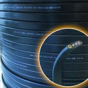 Sản phẩm Dây cáp điện dẹt cầu trục shentai 4Cx10 mm2 2 300x300 — Cầu Trục Quang Khương - Công Ty TNHH TM Và XNK Quang Khương — MST 0108782183