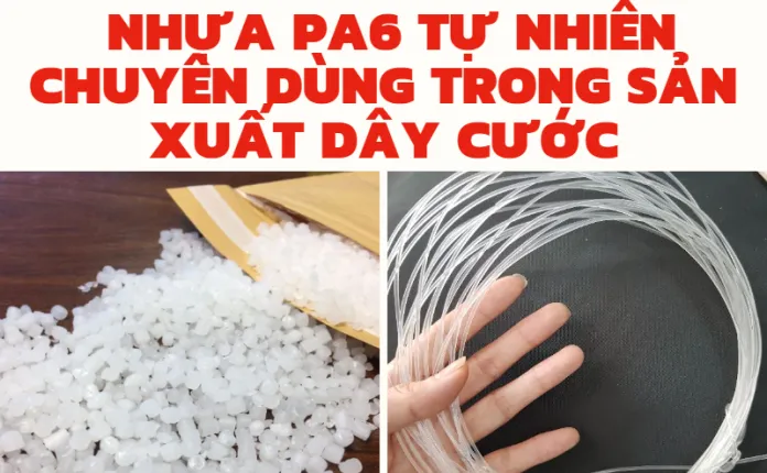 Sản phẩm nhua pa6 tu nhien 5 696x430 — Công Ty TNHH IANFA — MST 0108795986