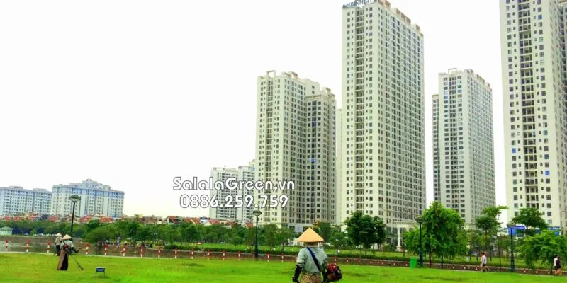 Văn phòng Công Ty Cổ Phần Đầu Tư Và Phát Triển Salalagreen #3 — MST 0108804207