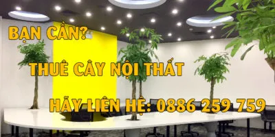 Sản phẩm IMG_3043 001 400x200 — Công Ty Cổ Phần Đầu Tư Và Phát Triển Salalagreen — MST 0108804207