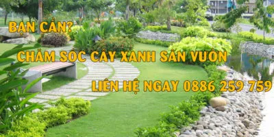 Sản phẩm dich vu cham soc cay xanh san vuon salalagreen 3 400x200 — Công Ty Cổ Phần Đầu Tư Và Phát Triển Salalagreen — MST 0108804207