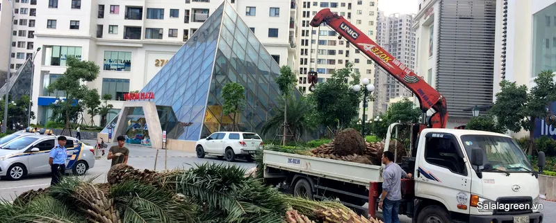 Sản phẩm IMG_3731 — Công Ty Cổ Phần Đầu Tư Và Phát Triển Salalagreen — MST 0108804207