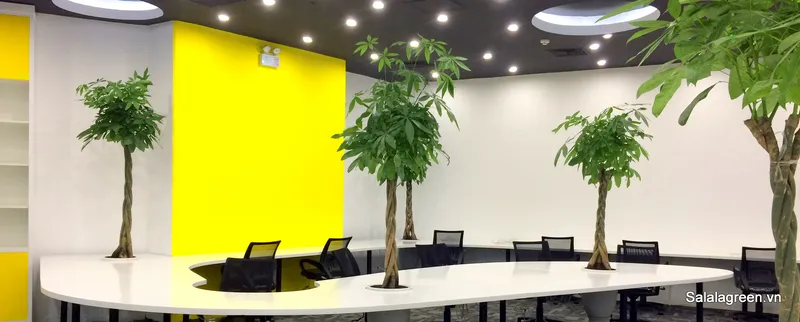Sản phẩm salalagreen_thue_cay_noi_that — Công Ty Cổ Phần Đầu Tư Và Phát Triển Salalagreen — MST 0108804207