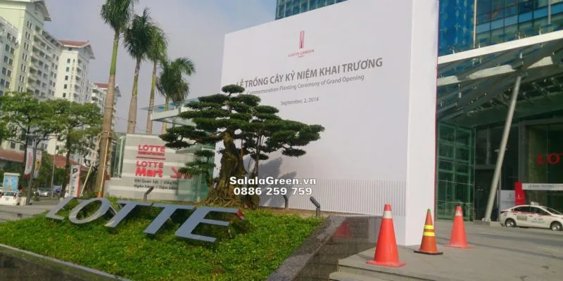 Sản phẩm thi_cong_san_vuon 800x400 — Công Ty Cổ Phần Đầu Tư Và Phát Triển Salalagreen — MST 0108804207