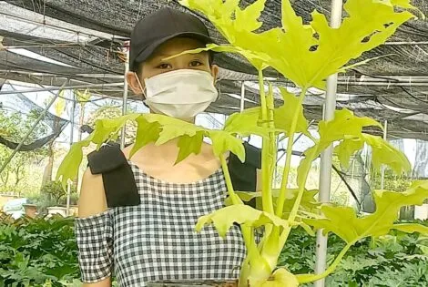 Sản phẩm 1 20230601_154429 470x315 — Công Ty Cổ Phần Đầu Tư Và Phát Triển Salalagreen — MST 0108804207