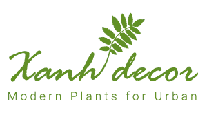 Logo Xanhdecor - Tiệm Cây Xanh