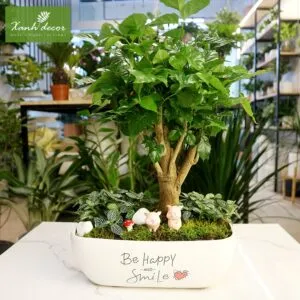 Sản phẩm hanh phuc 5 300x300 — Xanhdecor - Tiệm Cây Xanh — MST 0108807744