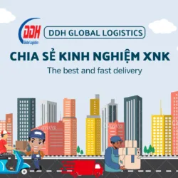 Văn phòng Công Ty TNHH Tiếp Vận Toàn Cầu DDH Việt Nam #2 — MST 0108811645
