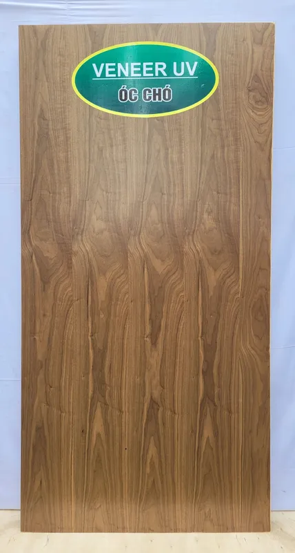 Sản phẩm oc cho scaled — Công Ty CP Sản Xuất Thương Mại Xuất Nhập Khẩu ECO Vũ Hoằng — MST 0108827081