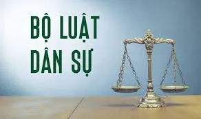 Sản phẩm luat dan su — Luật Đồng Thắng - Công Ty Luật TNHH Đồng Thắng — MST 0108828303