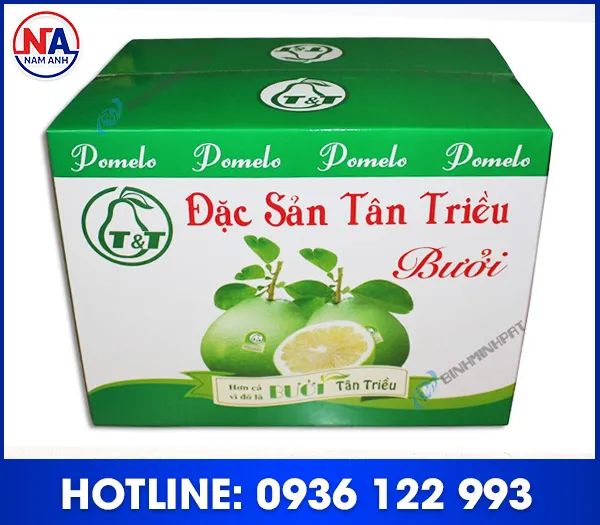 Sản phẩm Thung duplex 2 — Thùng Carton Nam Anh - Công Ty TNHH Bao Bì Công Nghiệp Nam Anh — MST 0108829762