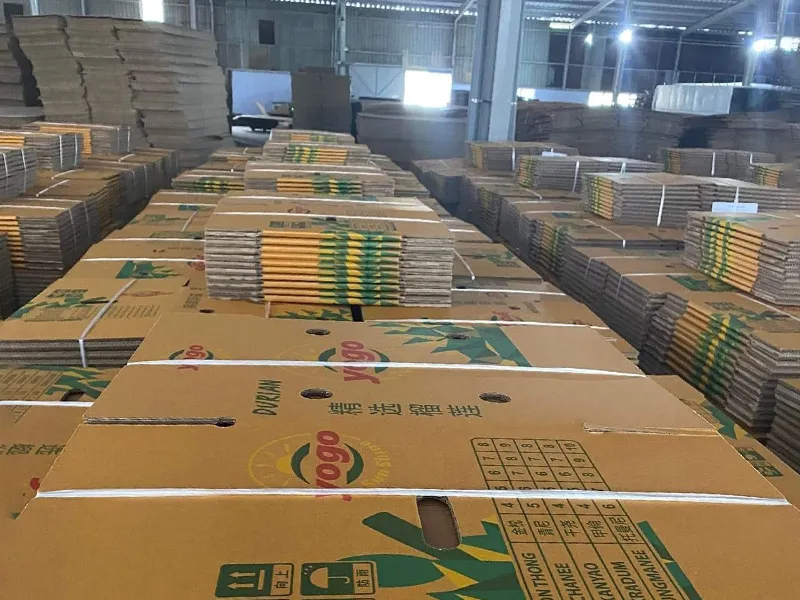 Sản phẩm Thu vien anh 7 — Thùng Carton Nam Anh - Công Ty TNHH Bao Bì Công Nghiệp Nam Anh — MST 0108829762