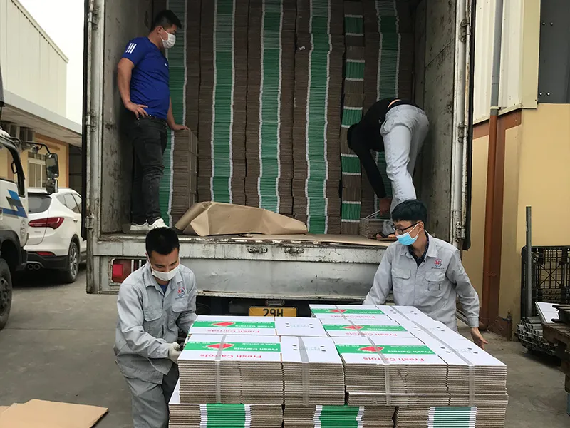 Sản phẩm Thu vien anh 8 — Thùng Carton Nam Anh - Công Ty TNHH Bao Bì Công Nghiệp Nam Anh — MST 0108829762