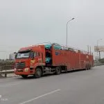 Sản phẩm van chuyen o to 5 sai lam lon nhat can tranh 150x150 — Cho Thuê Xe Nâng Xe Cẩu Trung Trans - Công Ty TNHH DV Giao Vận Trung Trans — MST 0108838397