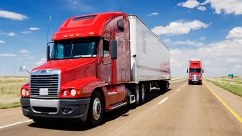 Sản phẩm bo — Công Ty TNHH Giải Pháp Dịch Vụ Logistics TNG — MST 0108842033