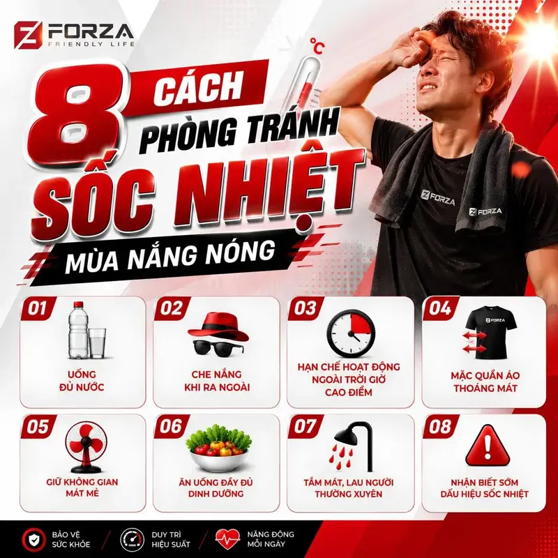 Sản phẩm 708394639_1409630301182703_4168329783609823527_n — Công Ty TNHH Forza Việt Nam — MST 0108866098