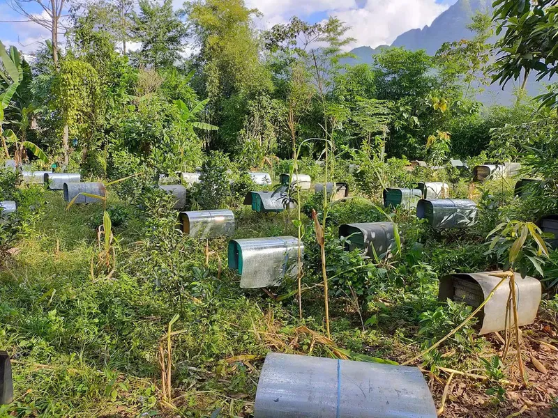 Sản phẩm z6407659638294_b39ea7547c9b81f51f090bb42a32e714 — Mật Ong Phúc Khang - Công Ty TNHH Xuất Nhập Khẩu Mật Ong Phúc Khang — MST 0108881554