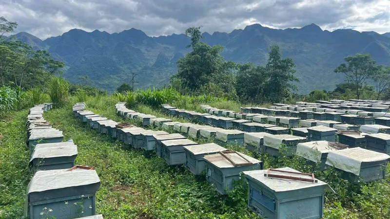 Sản phẩm z7906669649202_cb2241f7d00c77e343212b4f19b9fe26 — Mật Ong Phúc Khang - Công Ty TNHH Xuất Nhập Khẩu Mật Ong Phúc Khang — MST 0108881554
