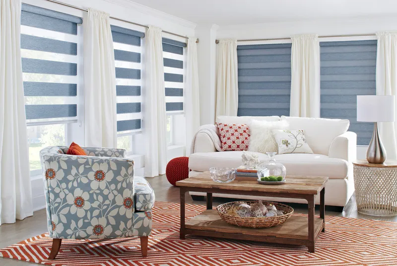 Sản phẩm 1456345642 1280w_conceptdualshadings3 — Công Ty TNHH Thương Mại Dịch Vụ Brilliant Home Designs Việt Nam — MST 0108896409