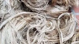 Sản phẩm 76644662_1503769379763867_2409701339975122944_n 1 2 300x169 — Công Ty Cổ Phần MUSA PACTA — MST 0108915080