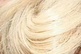 Sản phẩm images 1 — Công Ty Cổ Phần MUSA PACTA — MST 0108915080