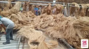 Sản phẩm philippines 300x167 — Công Ty Cổ Phần MUSA PACTA — MST 0108915080