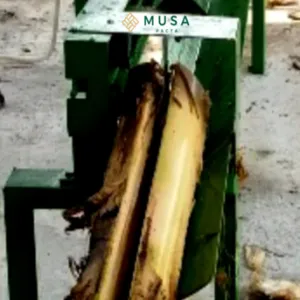 Sản phẩm hieuunganh.com_62b97981ea519 1 300x300 — Công Ty Cổ Phần MUSA PACTA — MST 0108915080