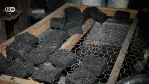 Sản phẩm activated carbon musapacta — Công Ty Cổ Phần MUSA PACTA — MST 0108915080