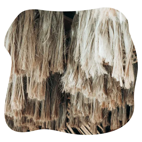 Sản phẩm banana fibers shape image musapacta — Công Ty Cổ Phần MUSA PACTA — MST 0108915080