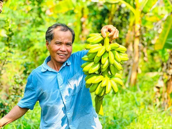 Sản phẩm da nang musapacta — Công Ty Cổ Phần MUSA PACTA — MST 0108915080