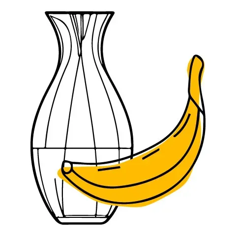 Sản phẩm why choose musa utilization of the banana icon musapacta — Công Ty Cổ Phần MUSA PACTA — MST 0108915080