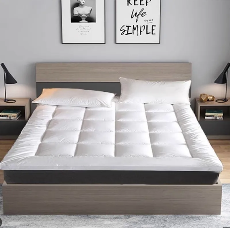 Sản phẩm 4 2 — Công Ty TNHH Xuất Nhập Khẩu Protex Việt Nam — MST 0108948537