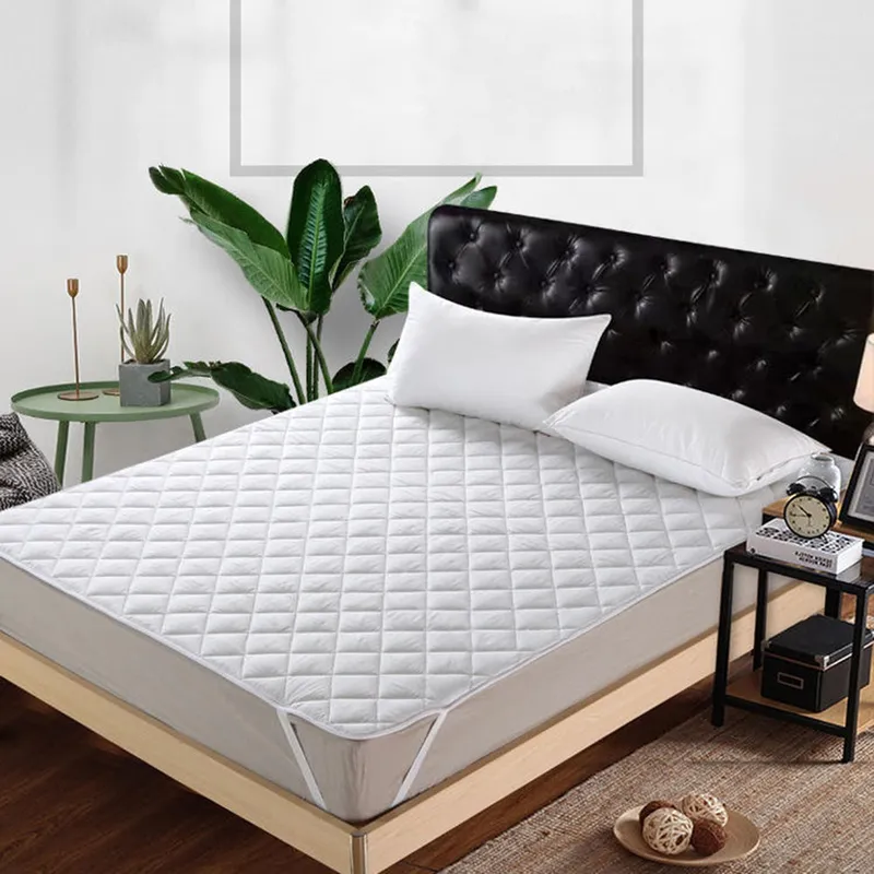 Sản phẩm 5 3 — Công Ty TNHH Xuất Nhập Khẩu Protex Việt Nam — MST 0108948537