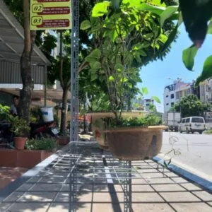 Sản phẩm keluoizatec1 300x300 — Công Ty TNHH Zatec — MST 0109000047