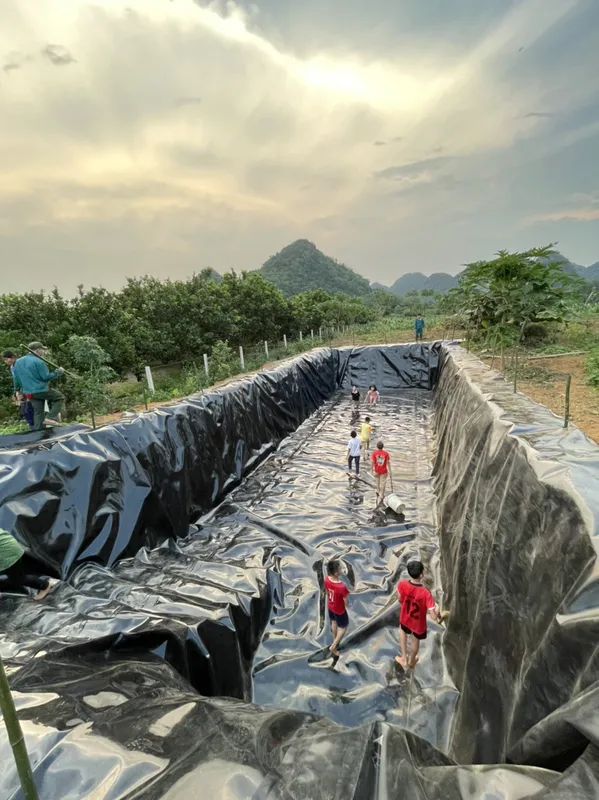Sản phẩm z2761599186959_7d9d96fb4a6ab467d72607504cdd7d94 — Công Ty TNHH Công Nghệ Xanh Gia Khánh — MST 0109009723