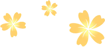Sản phẩm hoa png — Hạt Nhựa Màu Hua Mao - Công Ty Cổ Phần Quốc Tế Hua Mao HM — MST 0109026528