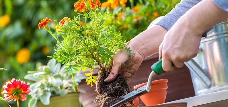 Sản phẩm slide03 — Công Ty TNHH Thương Mại Và Dịch Vụ Garden Việt Nam — MST 0109073976